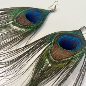 Peacock Feather Earrings